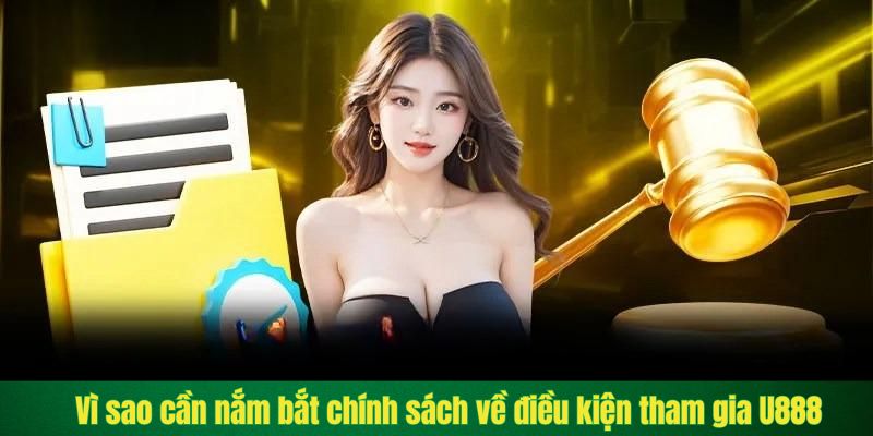 Vì sao cần nắm bắt chính sách về điều kiện tham gia